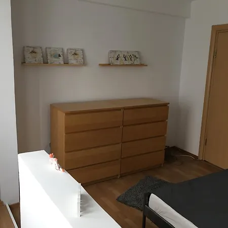 Apartament Tineretului Apartment