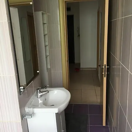 Tineretului Apartment *